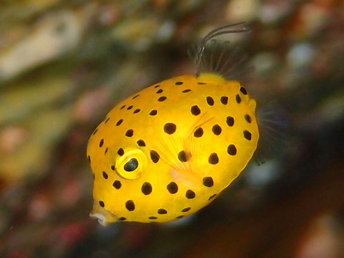 o0500037512621136718.jpg