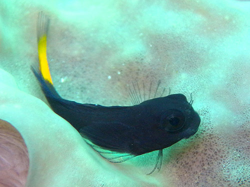 o0500037512646514624.jpg