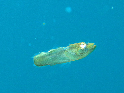o0500037512647815678.jpg